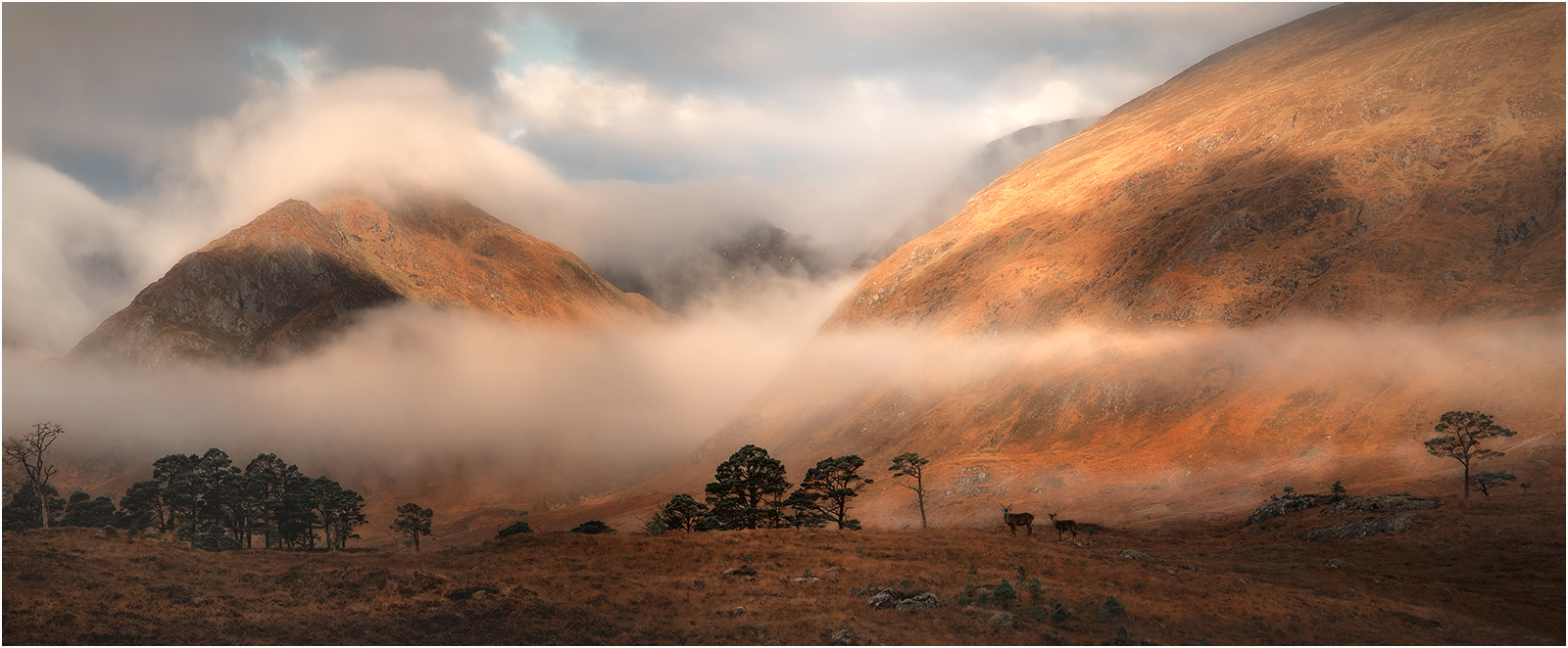 Mist In The Valley - Glen Affric by Mike Williamson