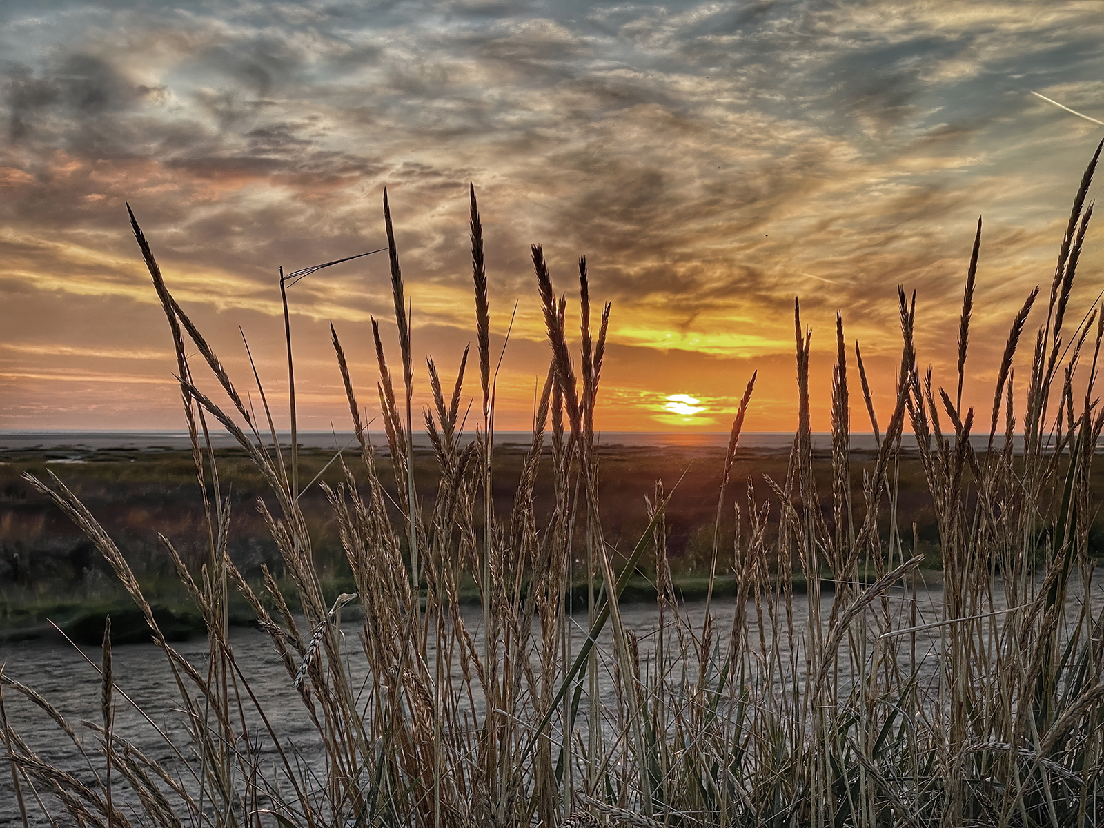Beach Sunset by Tim Amphlett