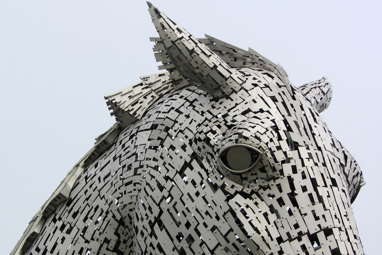 Kelpie Close Up by Mary Woodland