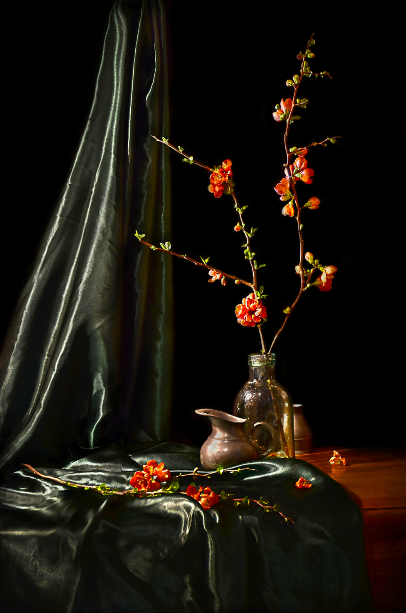 Flowering Quince by Peter Flegg