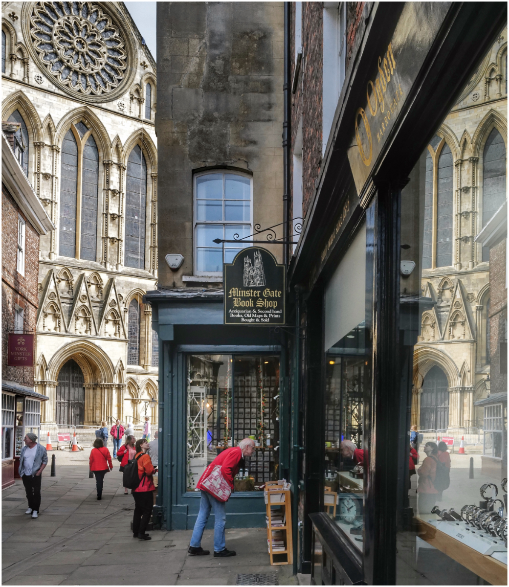 Window Shopping by Peter Cotton