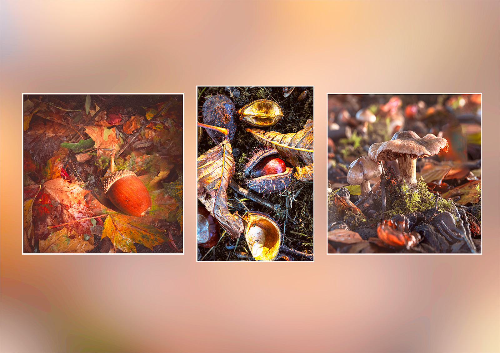 The Autumnal Woodland Floor by Margaret Keane