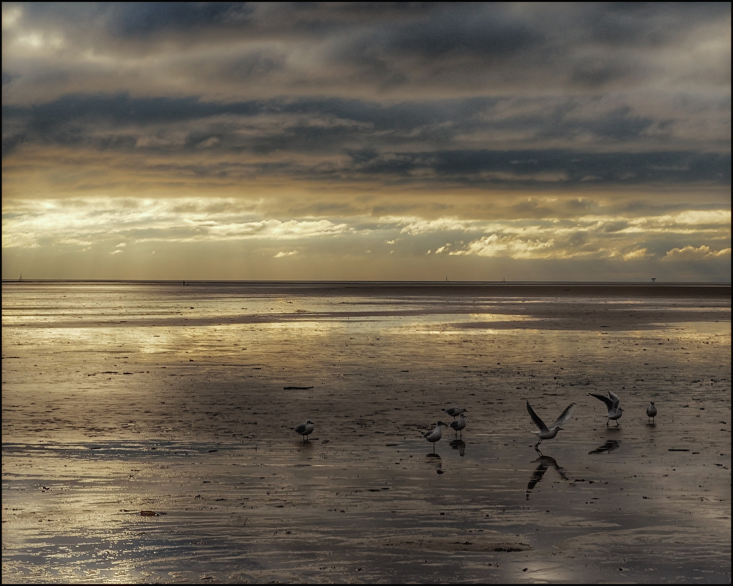 Winter Light by Peter Cotton