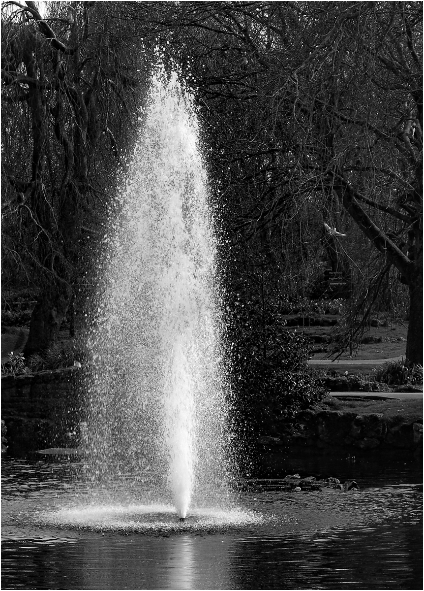Ashton Gardens Fountain by Eric Craven
