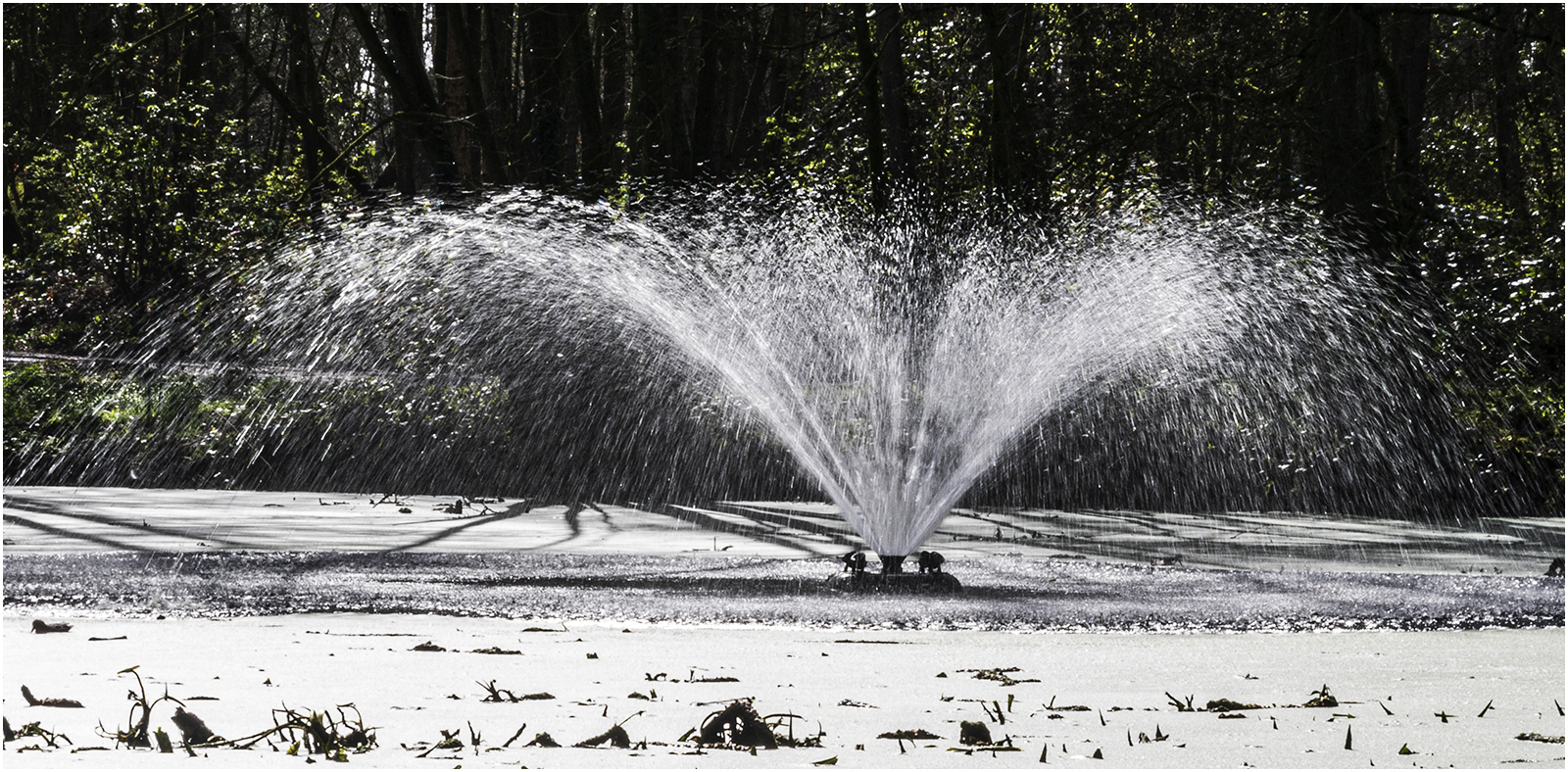 Lytham Hall Fountain by John Walmsley