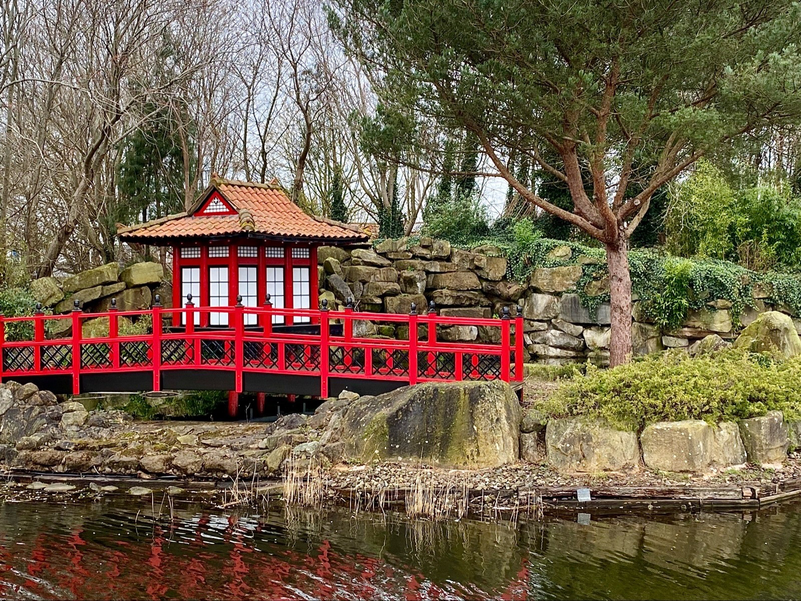 Japanese Garden by Roger Oldroyd