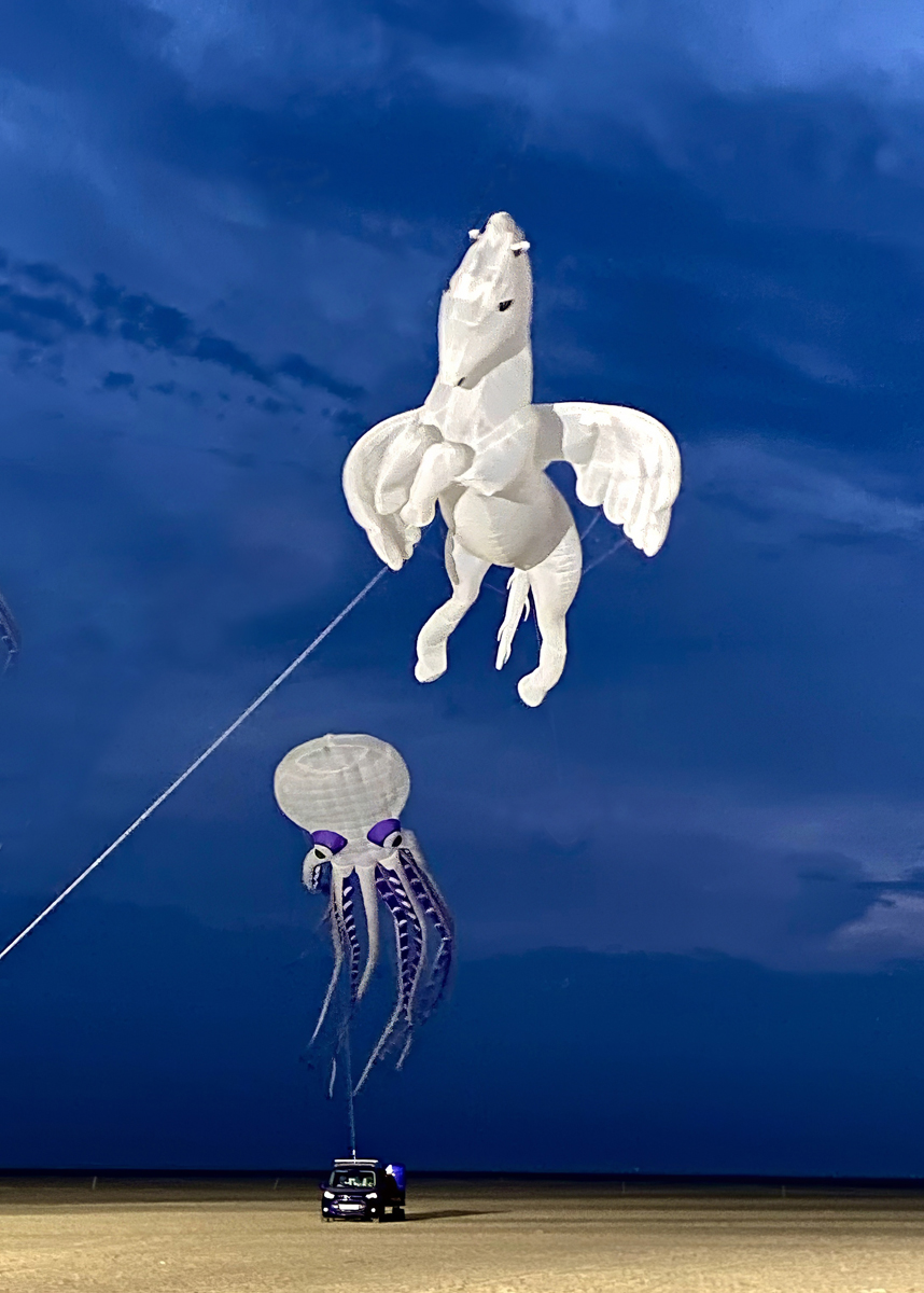 St Annes Kite Festival by Anne Young