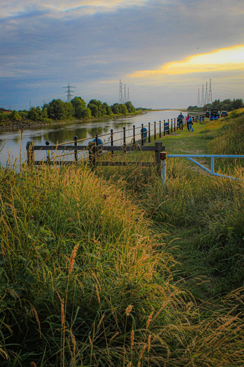 Estuary Nights — by Susan Wood