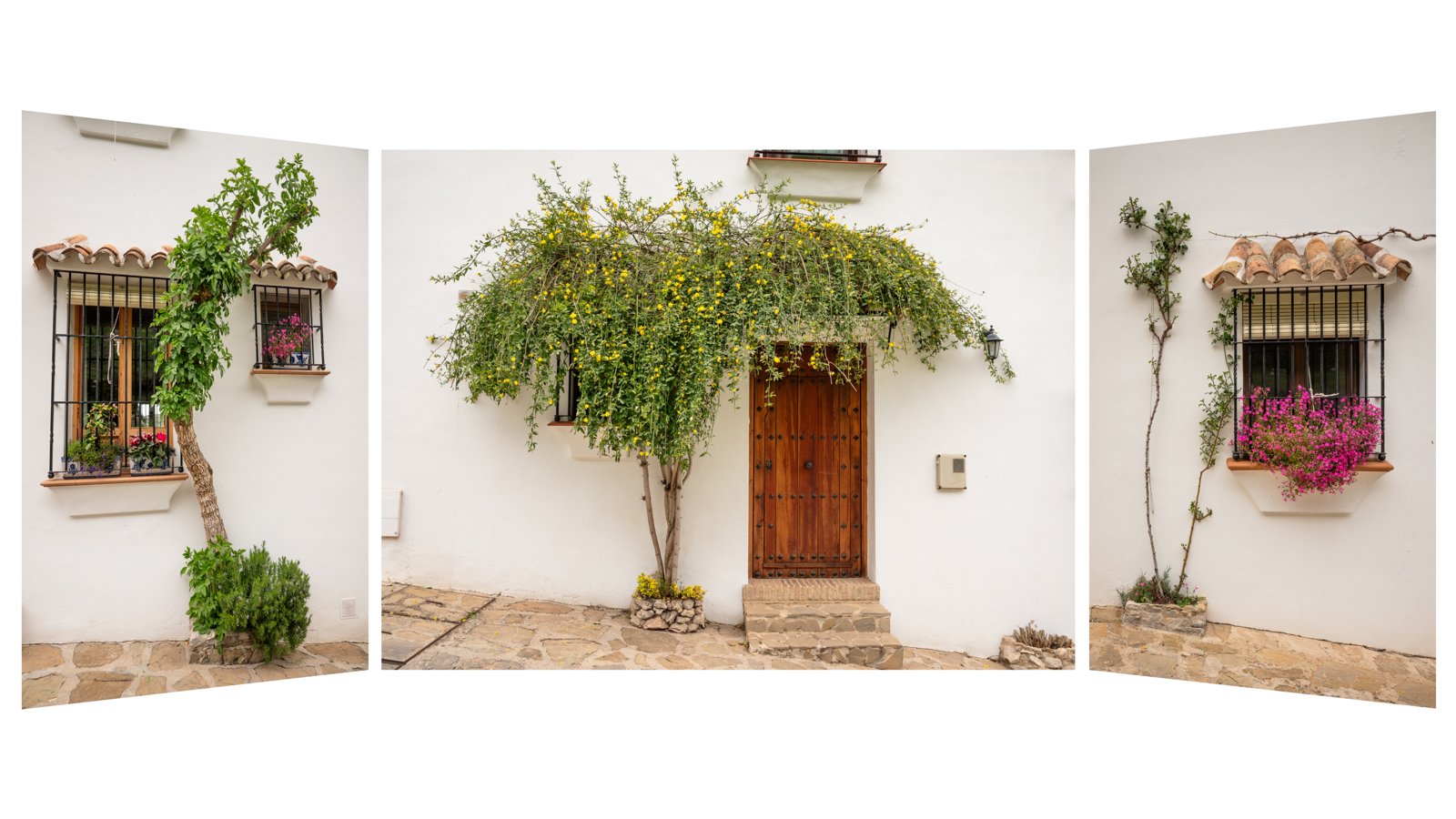 Commended in Colour Print - Houseproud by Clive McDonald