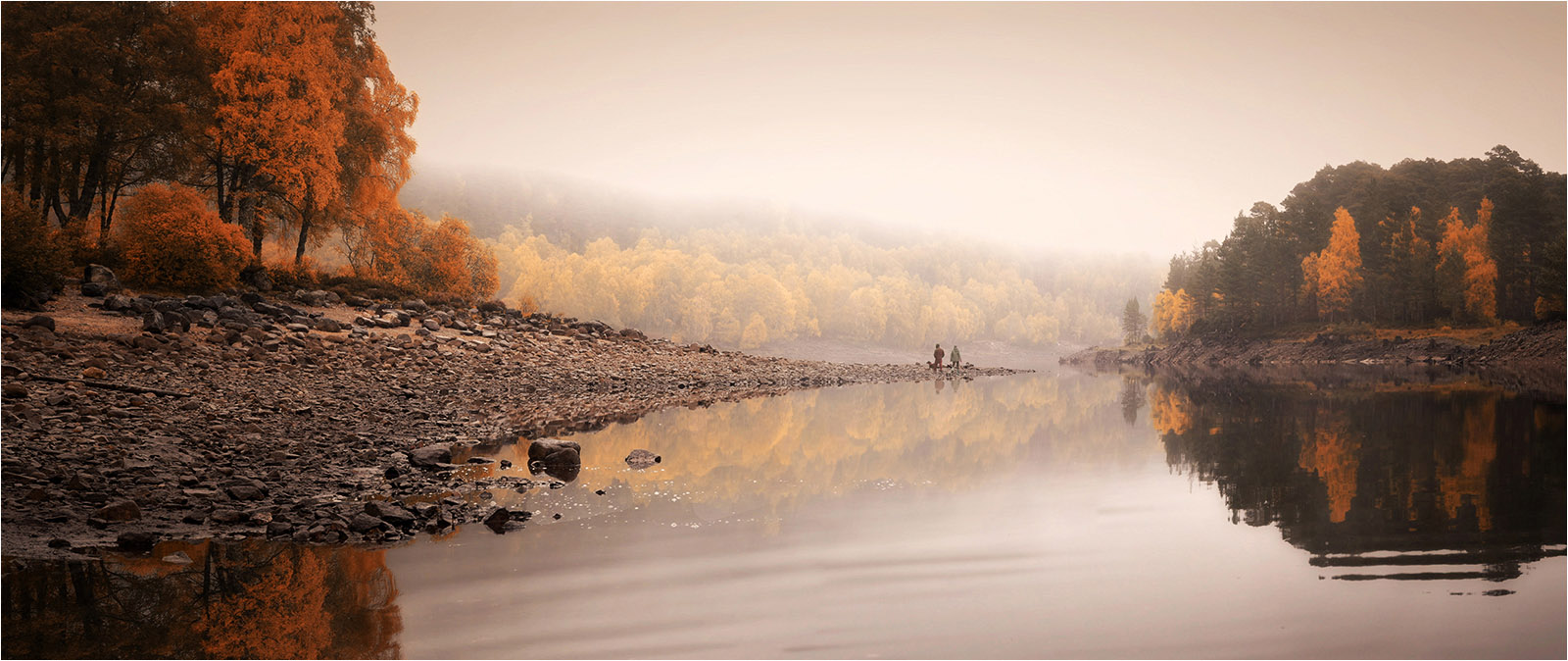 Glen Affric Autumn Reflections by Mike Williamson — Score: 18 pts