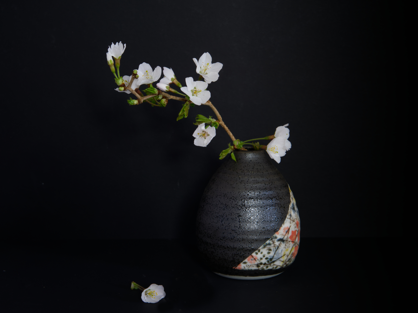 Highly Commended in Colour Digital - Chinese Blossom by Joy Swarbrick