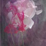 Bleeding Rose