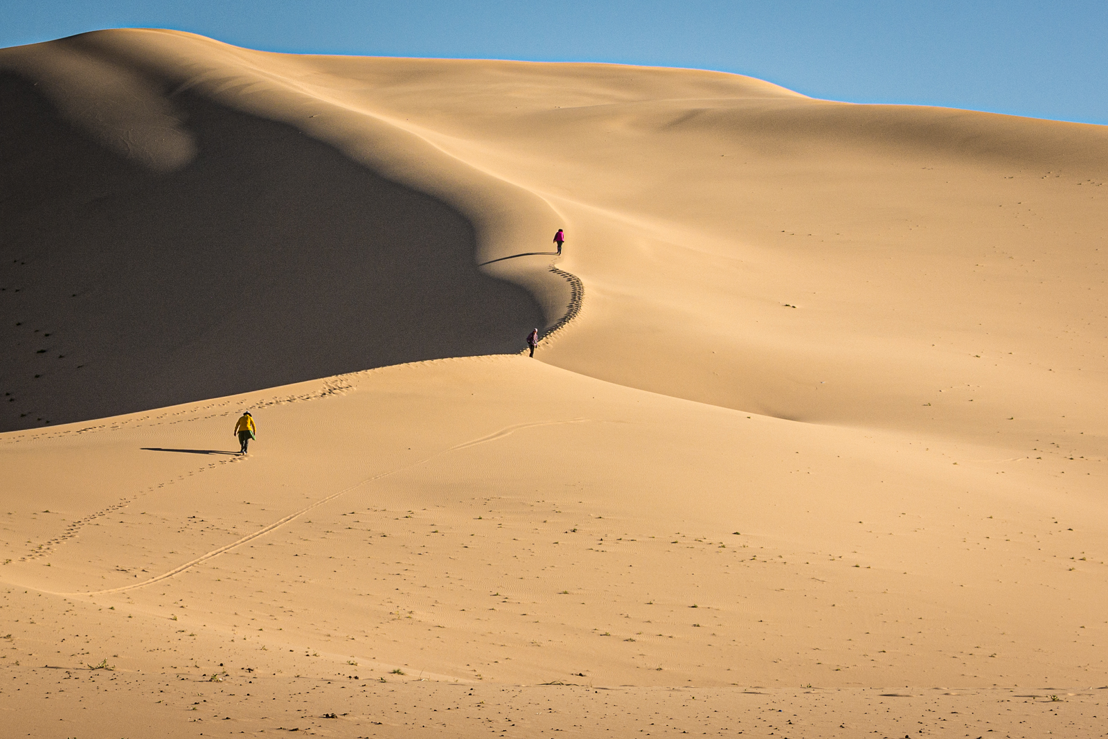 Commended in Colour Print - A Hot Climb In The Gobi Desert by Mary Kirkby