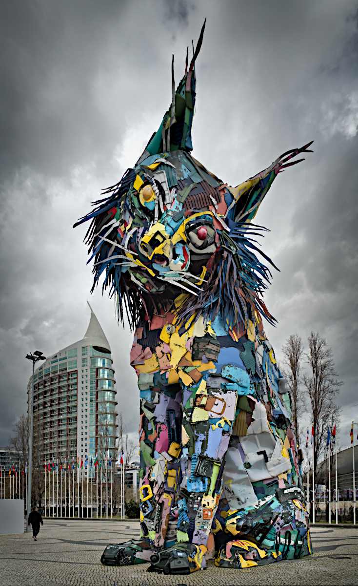 3rd Place in Colour Print - Iberian Lynx by Christine Round