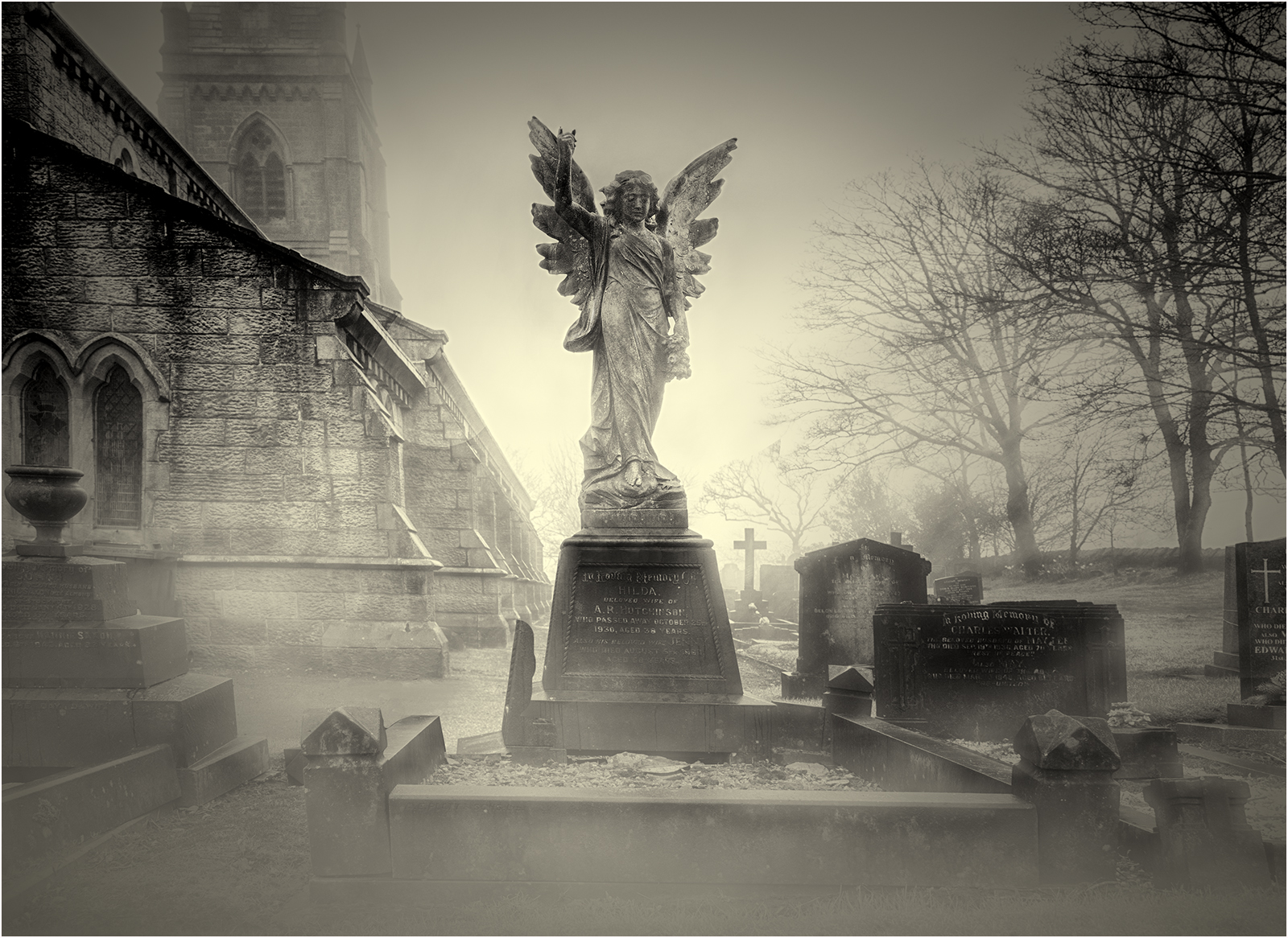 Highly Commended in Mono Digital - Angel In The Mist by Mike Williamson