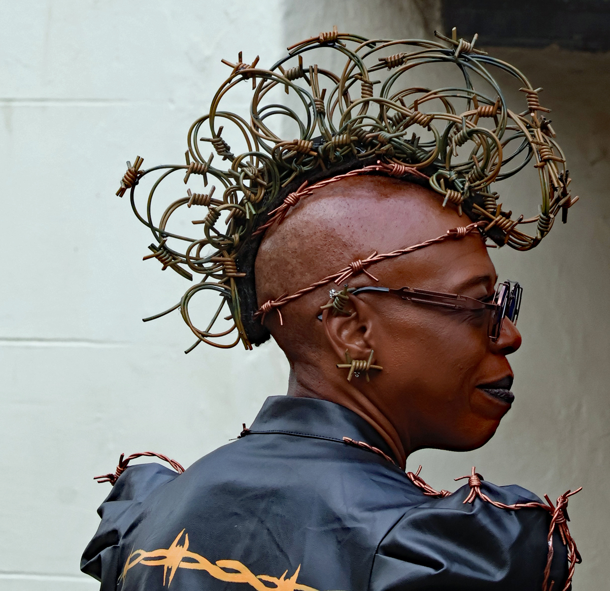 Commended in People Digital - Barbed by Janet Parker