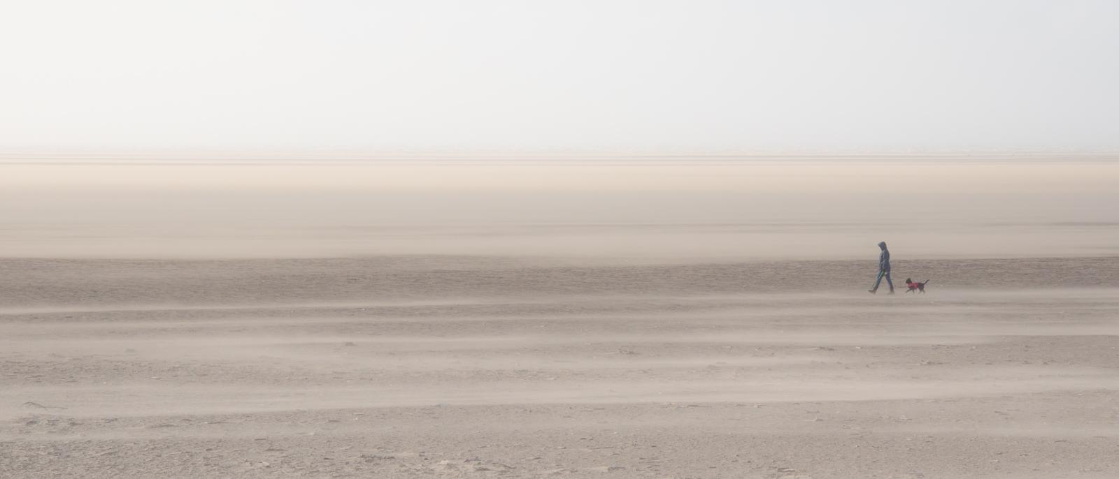 Highly Commended in Scapes Digital - Sand Blasted by Simon Ray