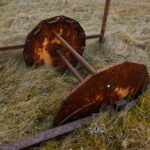 Rusty Swing