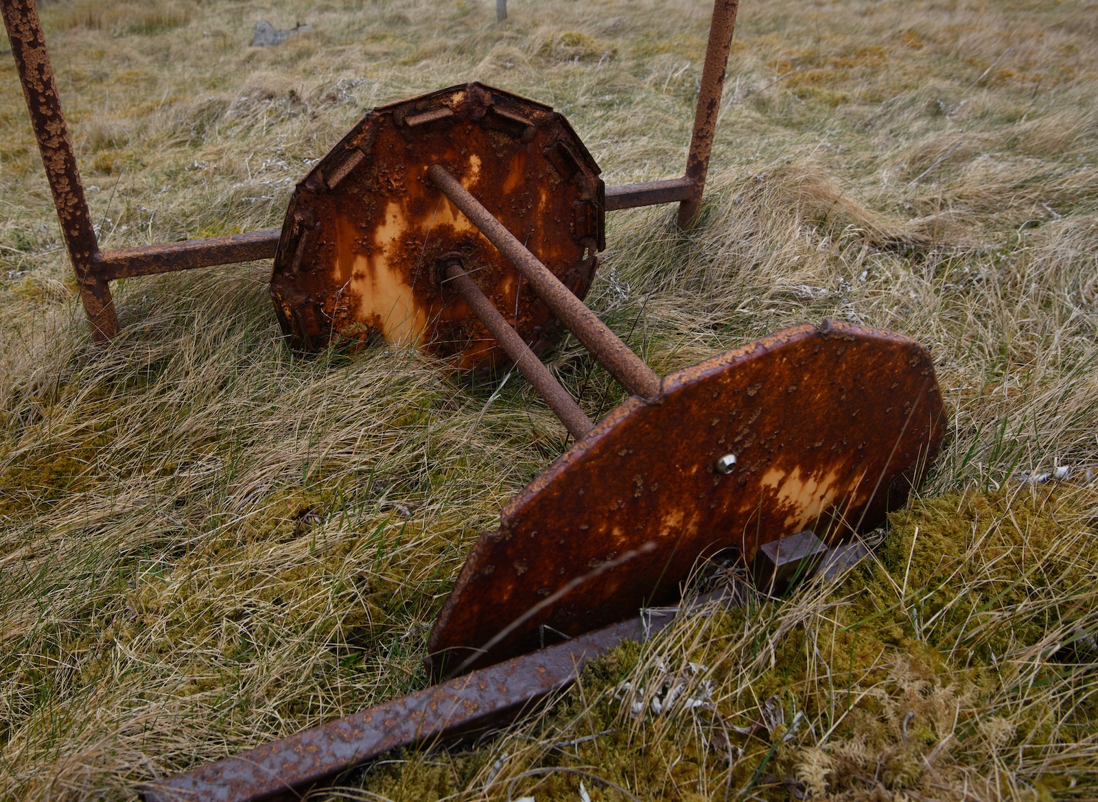 Rusty Swing by Geoff Batchelor