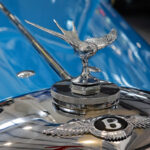 Bluebird Bentley