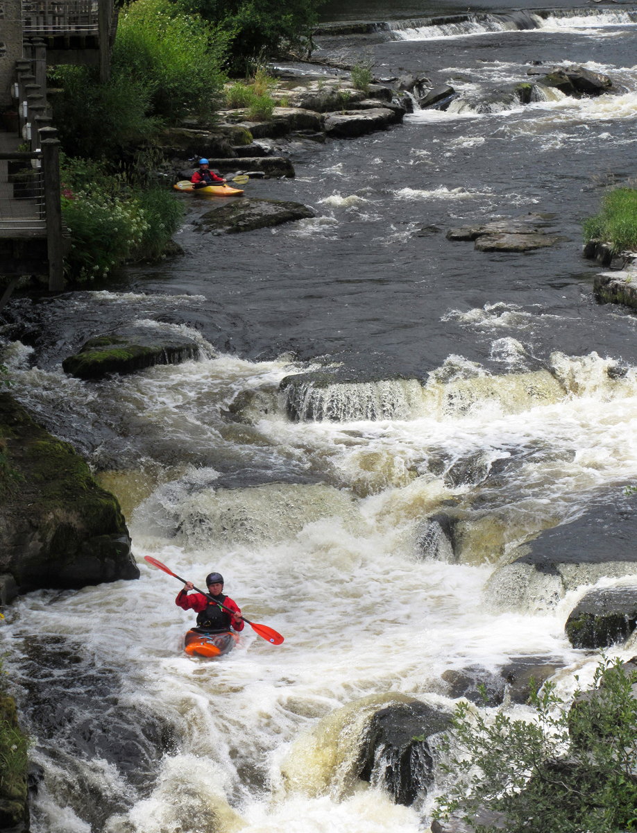 Going With The Flow by Mary Woodland