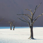 A New Dawn At Dead Vlei