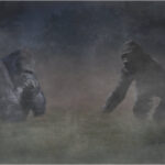 Gorillas In The Mist