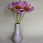 Cosmos Blur