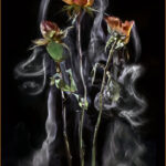 Decay