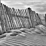 Coastal Defence