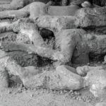 Pompei Family