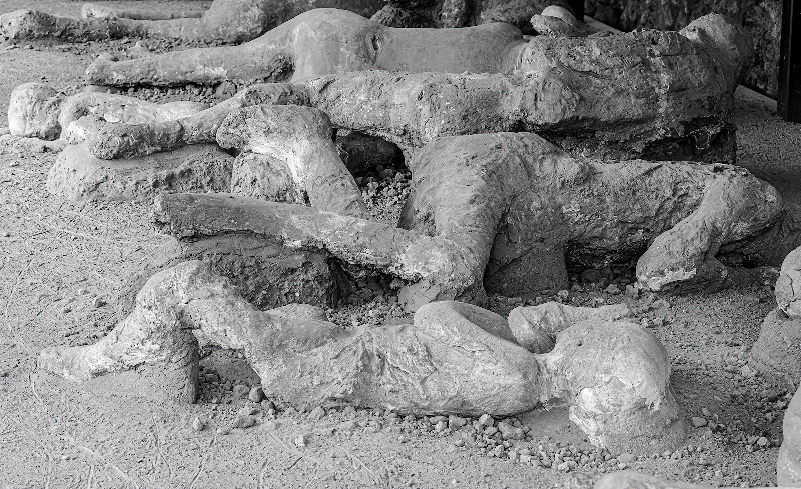 Pompei Family by Geoff Batchelor
