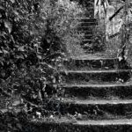 A Less Trodden Way