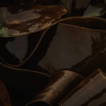Ribbons Of Kelp