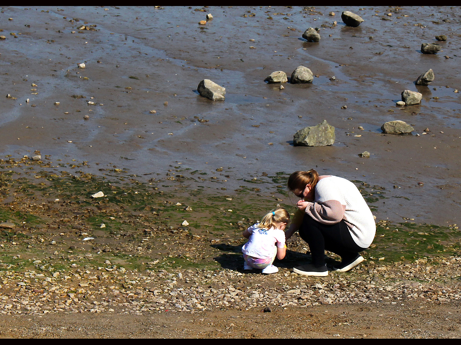 Shellseekers by Mary Woodland