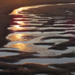 Ebbing Tide
