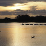 Boats Away