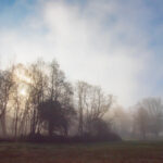 Mist Calls