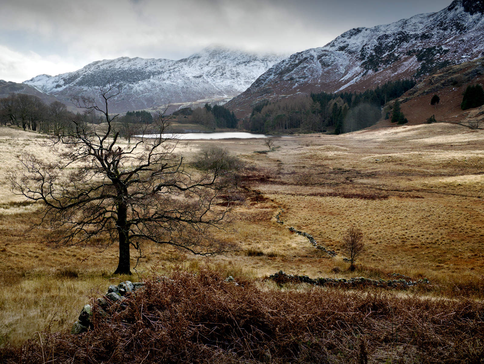 Towards Blea Tarn by Christine Round — Score: 15 pts