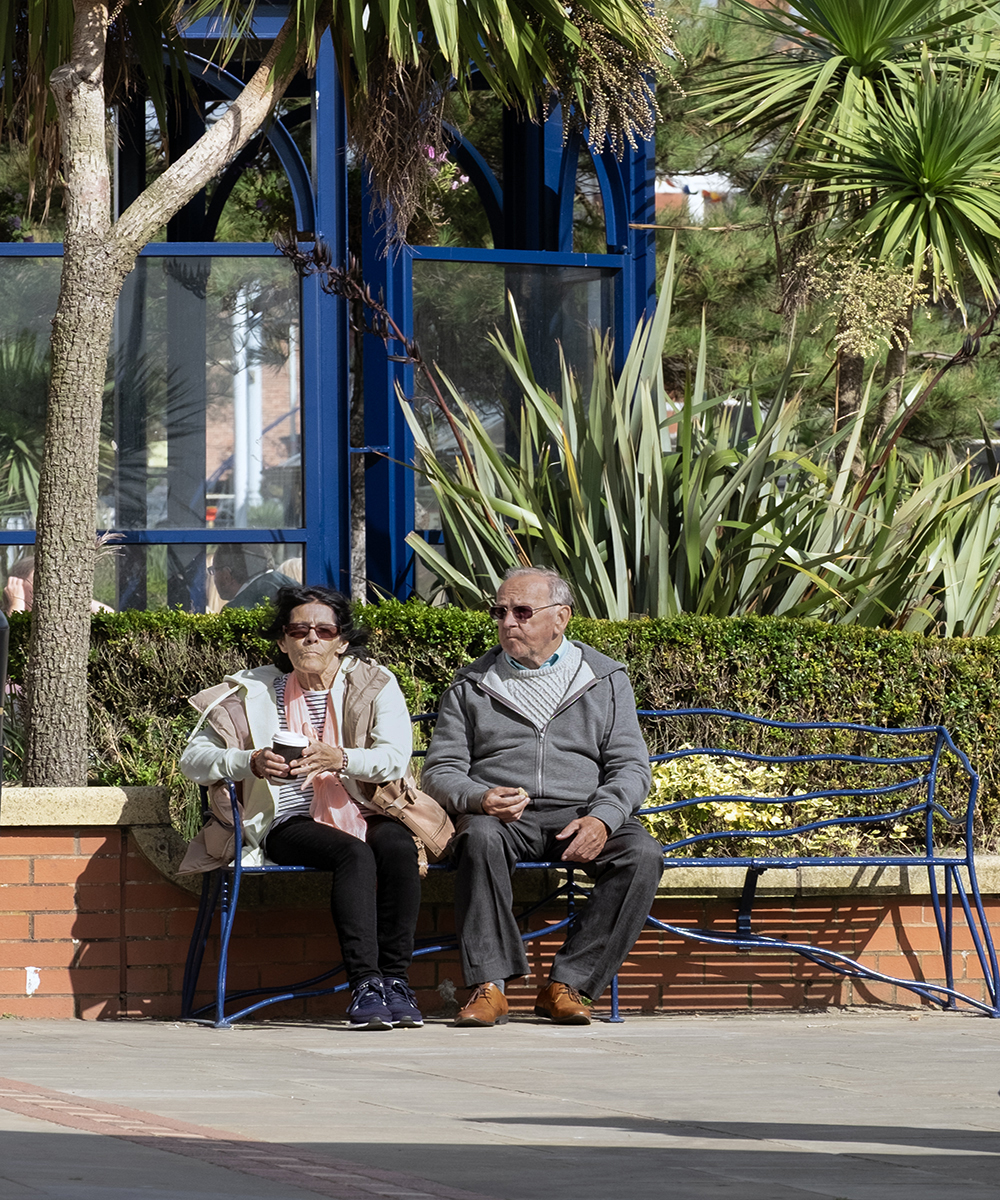 Enjoying The Sunshine by John Scott