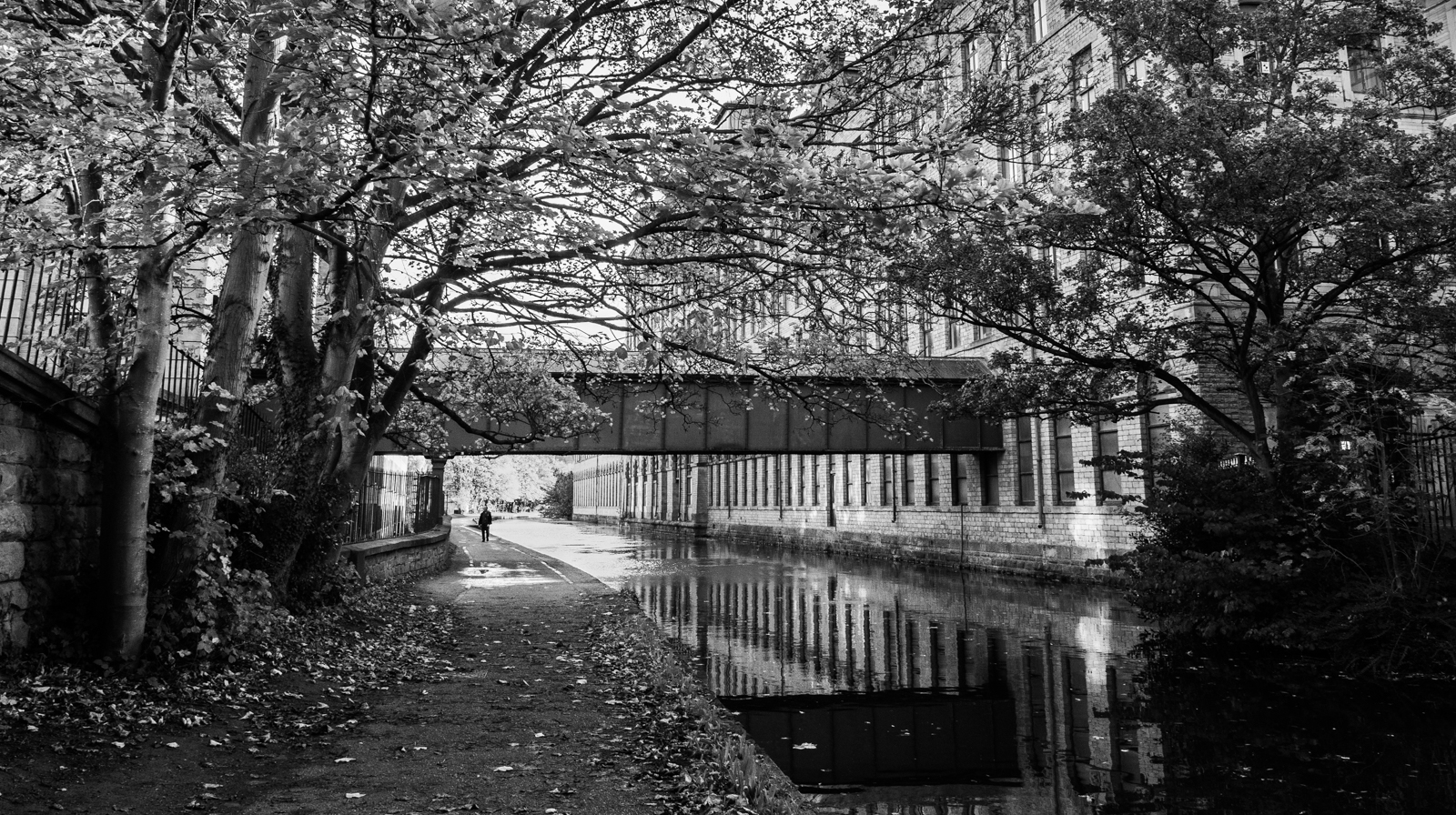 Canal Walk by Jennifer Wolstenholme