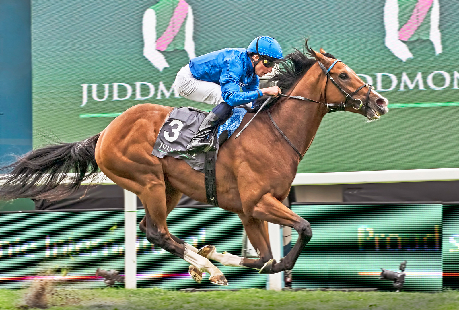 Ombudsman Winning The Juddmonte by Brian Clark — Score: 15 pts