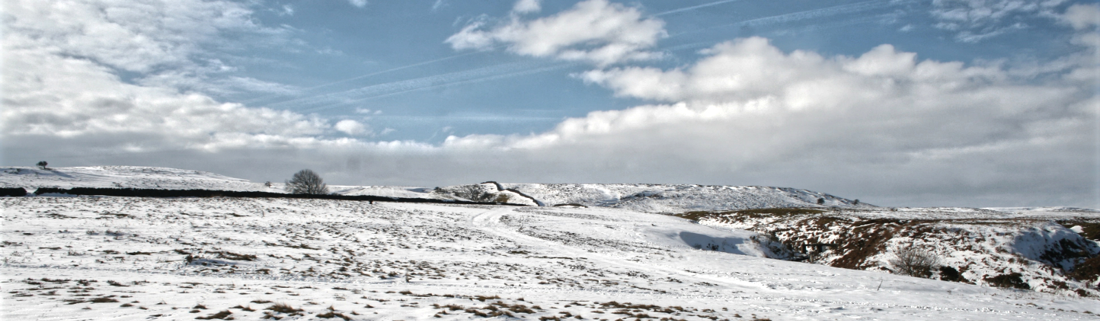 Snowy Landscape  by David Webster