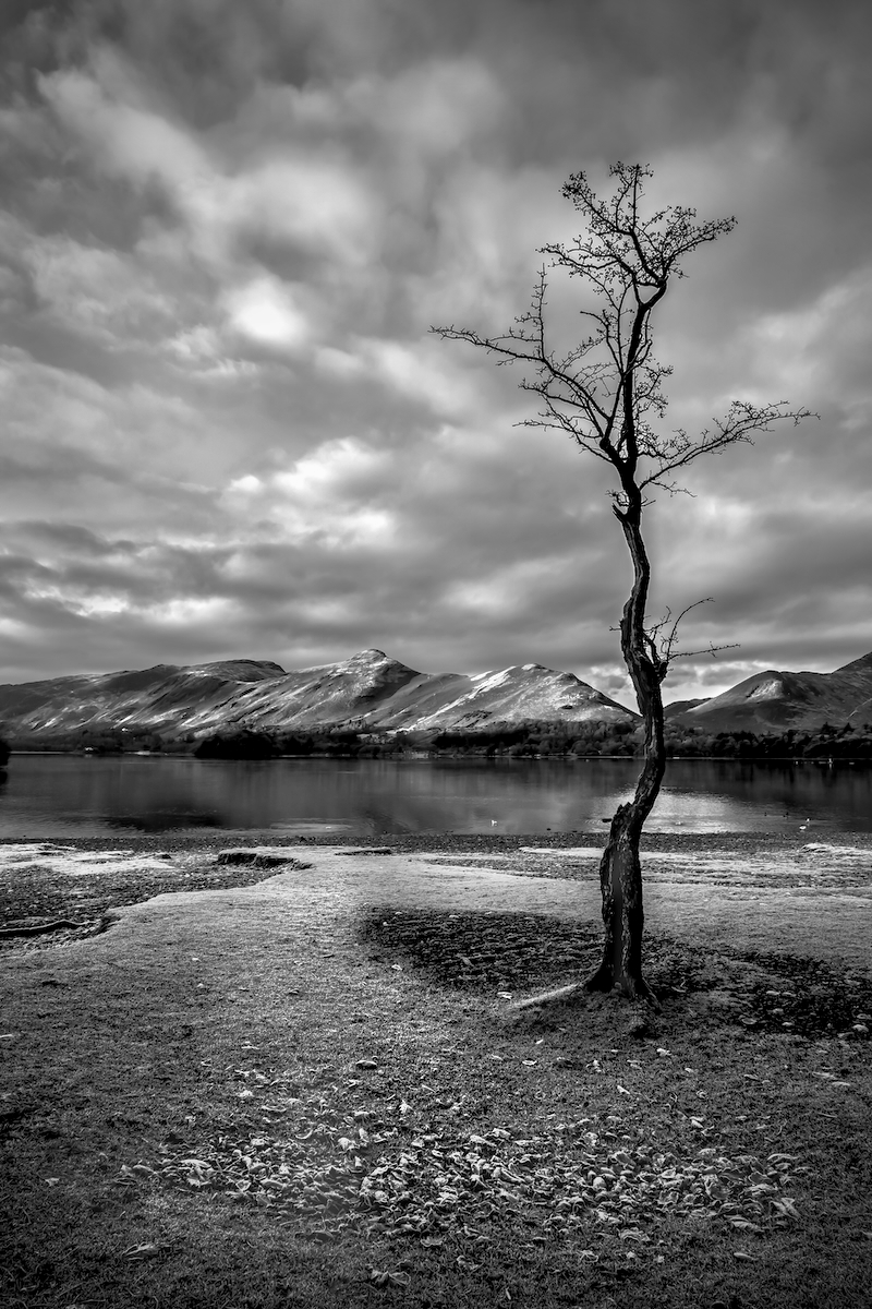 Catbells by Chris Taylor — Score: 17 pts