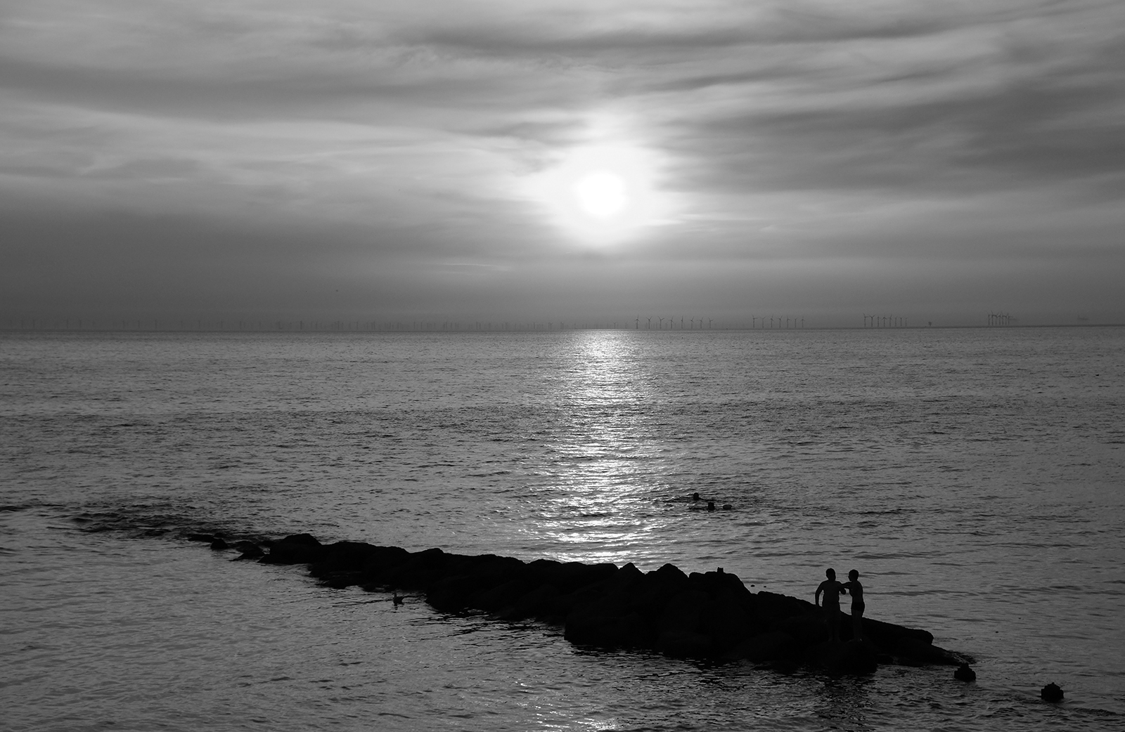 Sunset Swim by Janet Coulson — Score: 17 pts