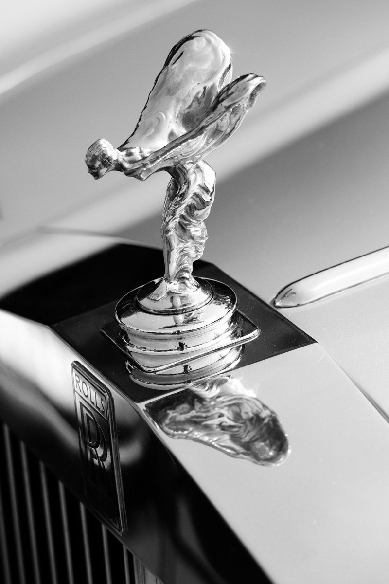 Spirit Of Ecstasy by Janet Parker