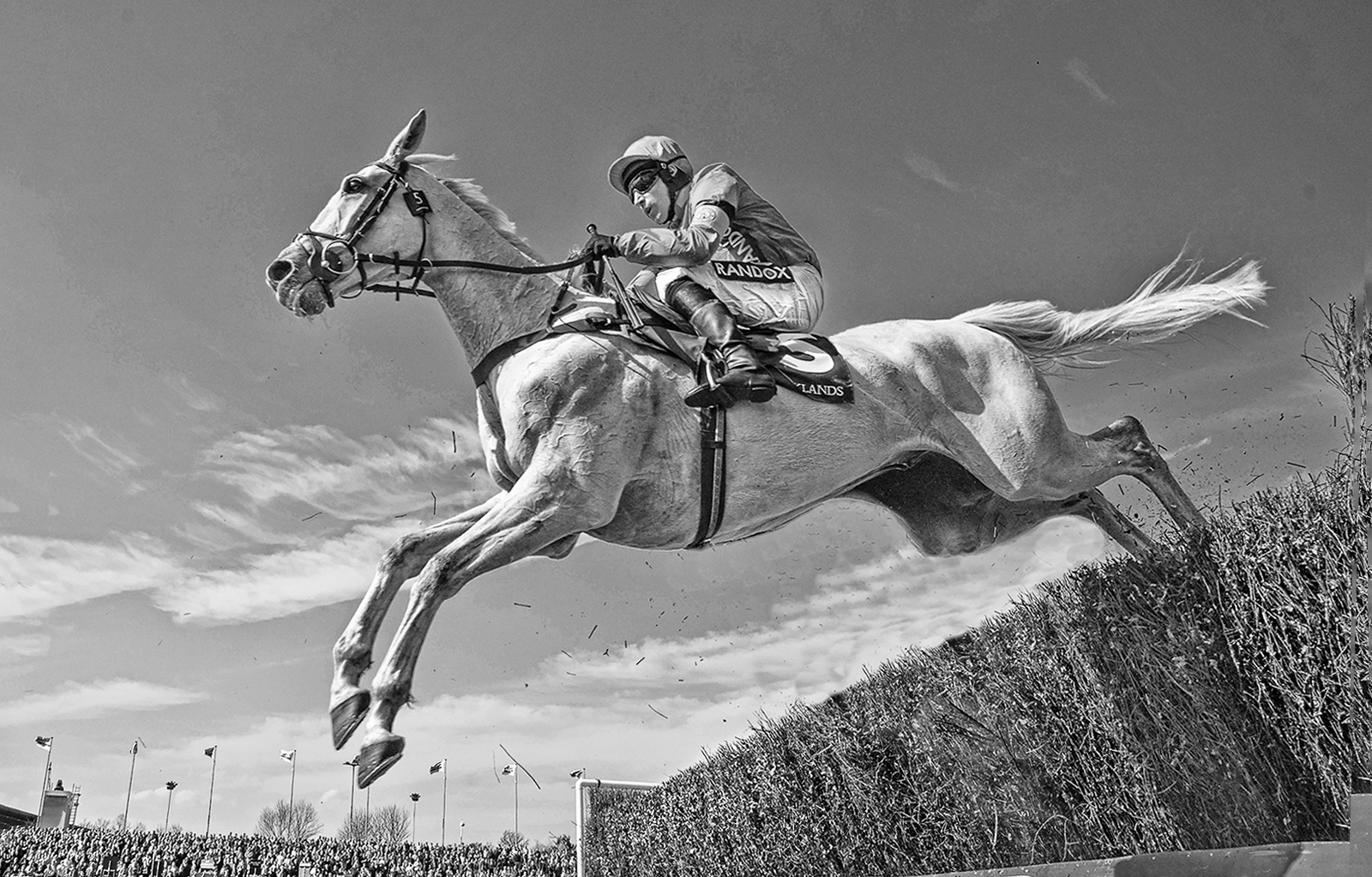 Flying Grey by Brian Clark — Score: 17 pts