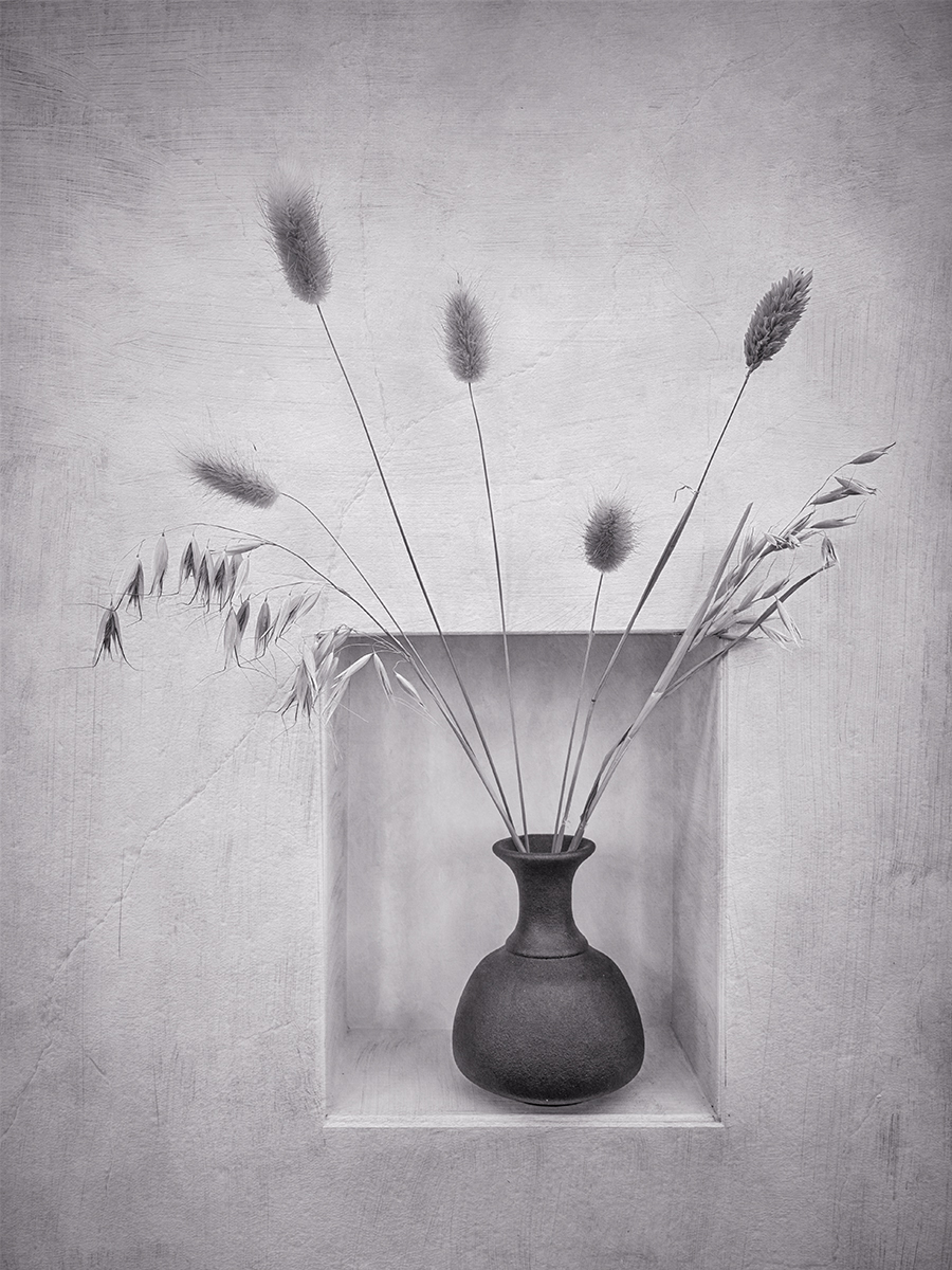 Dried Grasses On Display by Carol Watson