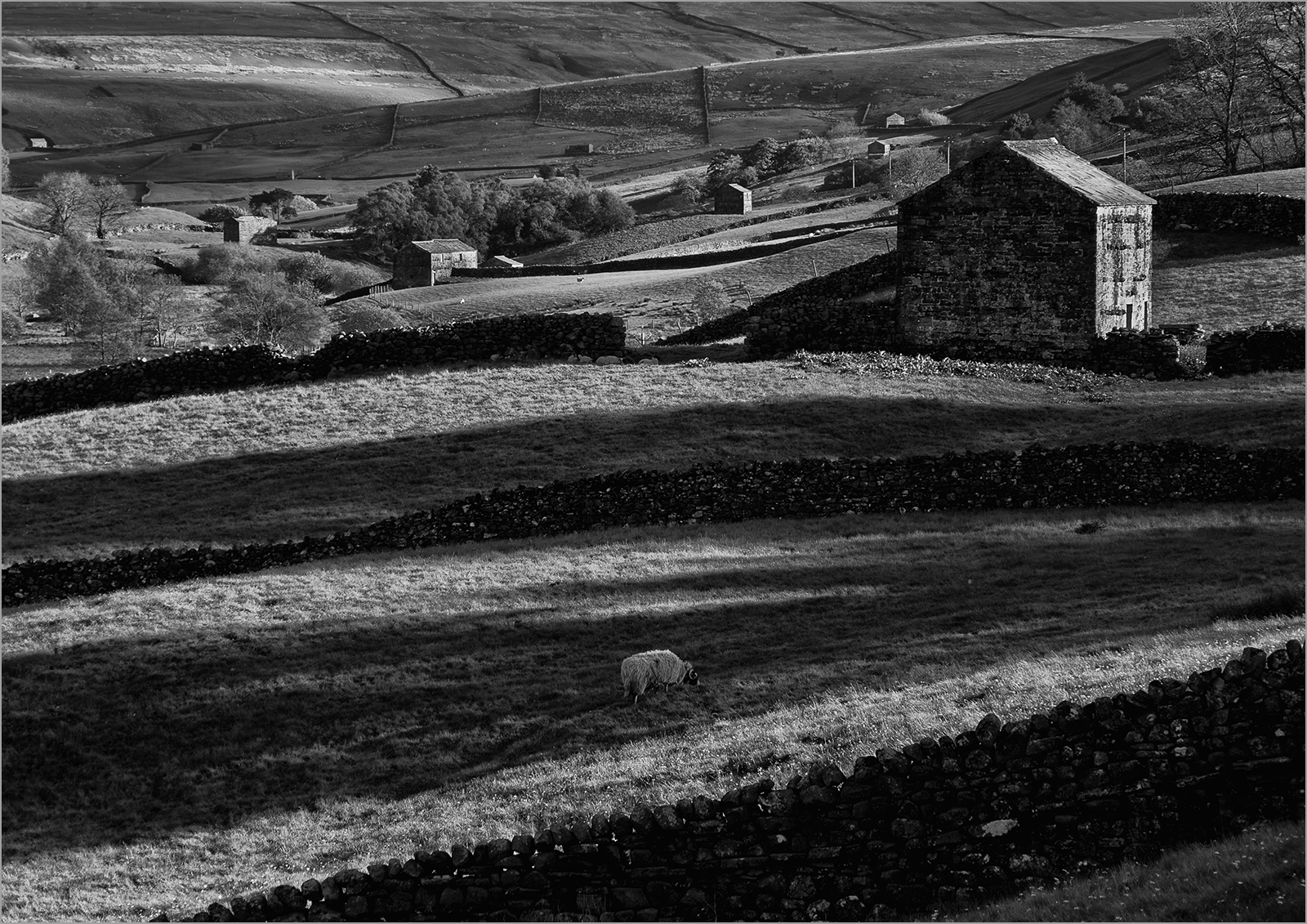 Swaledale  by Sheila Giles — Score: 16 pts