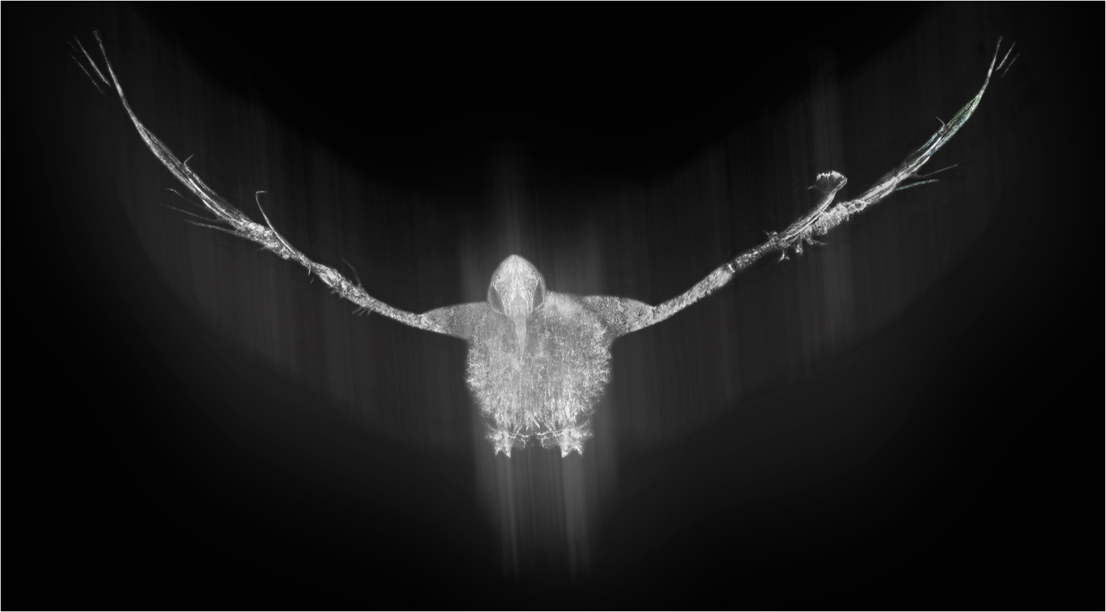 Avian Spectre by Simon Ray — Score: 16 pts